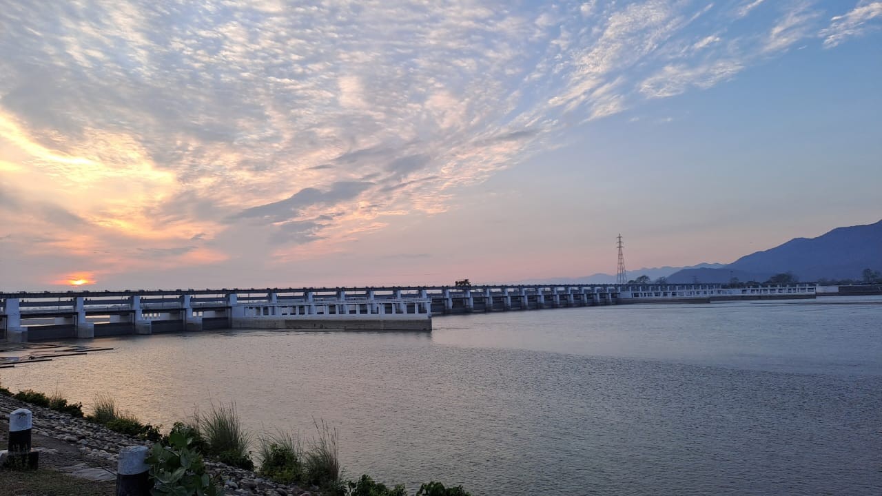 Valmiki Tiger Reserve forest