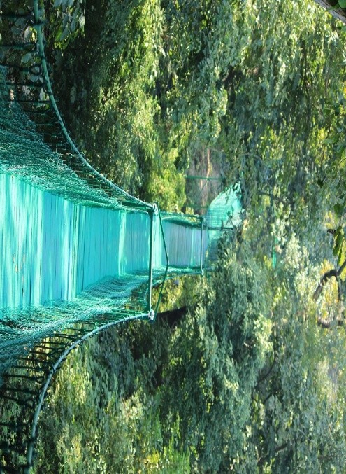 Kauleshwar Jhula hanging bridge