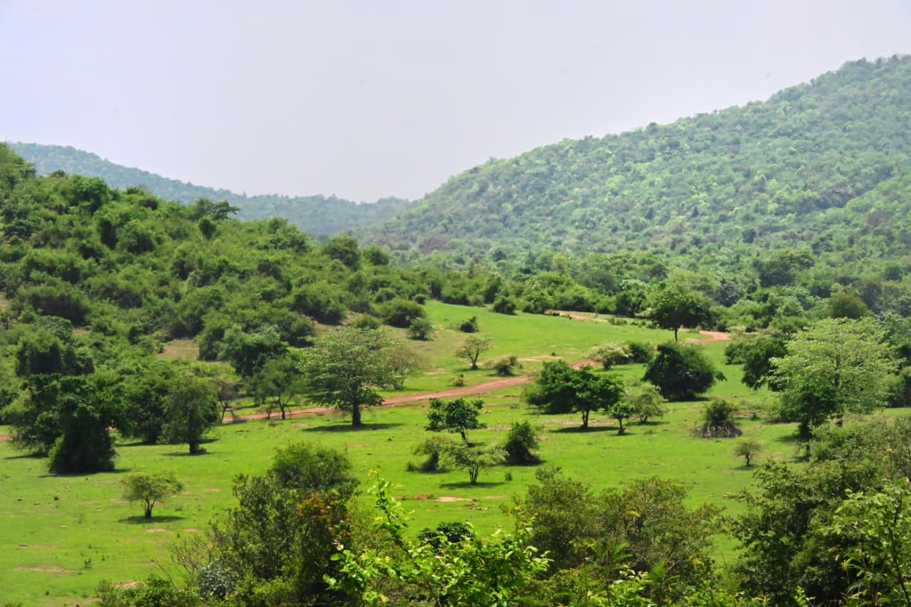 Kaimur Hills landscape