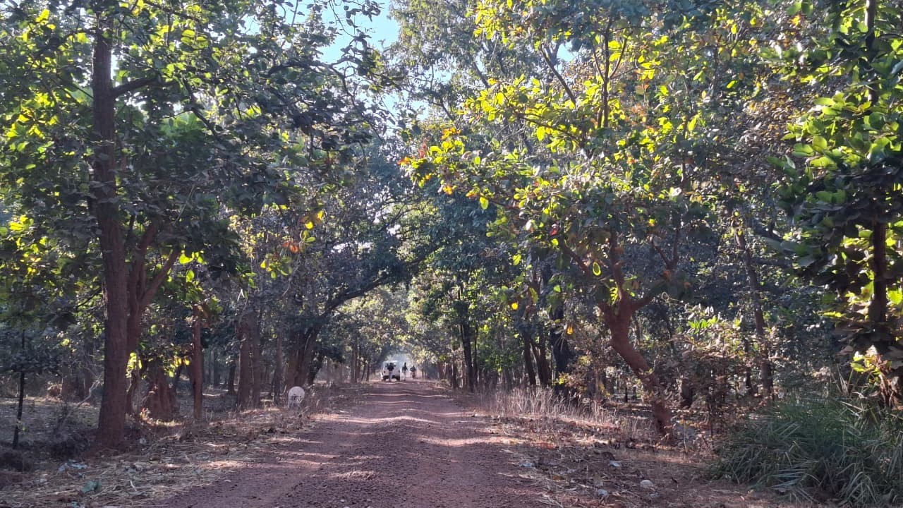 Kaimur Hills landscape