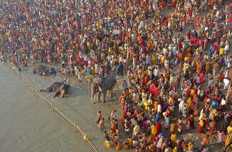 Sonepur Cattle Fair