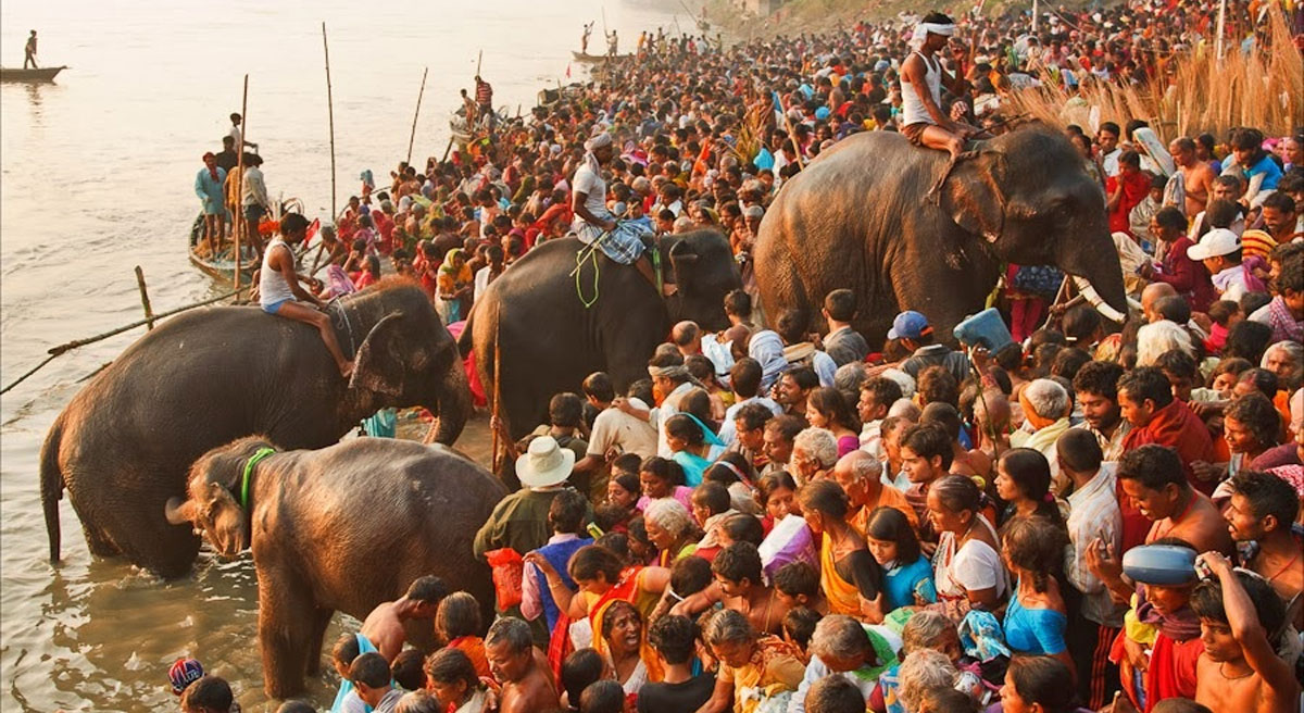 Asia's largest cattle fair - Sonepur Mela, Bihar