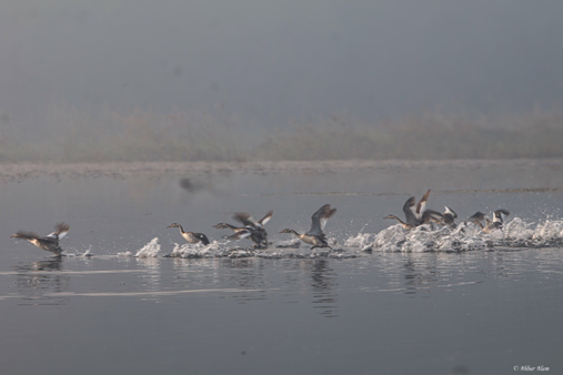 Udaipur Wildlife Sanctuary