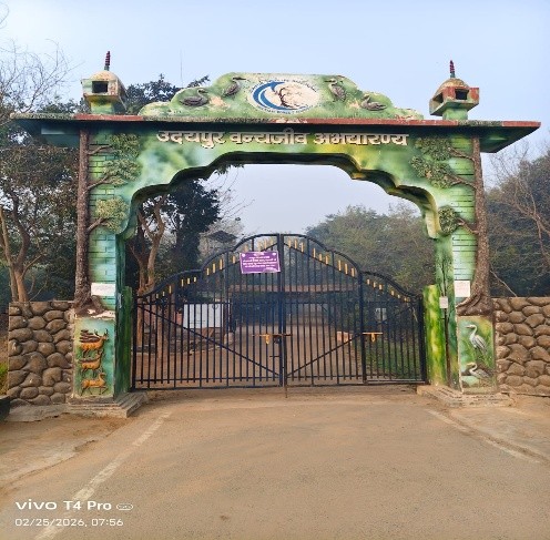 Udaipur Jheel wetland