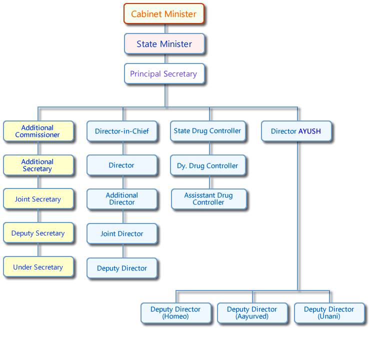 Health Department Organisational Structure