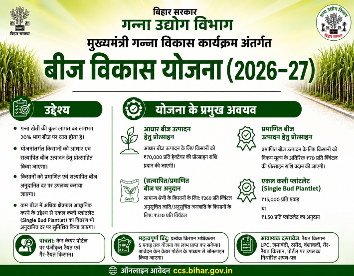 बड चिप प्रणाली